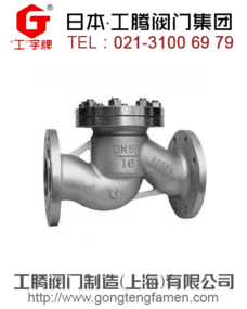 进口升降式止回阀